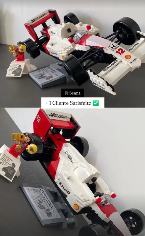 Feedback Cliente F1 Sul - F1 Senna Montado